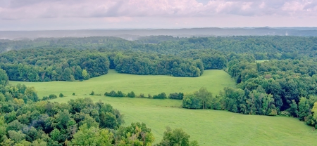 Hunting & Farm Land for sale in Adair County Kentucky - image 8