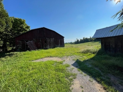 Hunting & Farm Land for sale in Adair County Kentucky - image 36