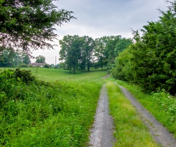 Hunting & Farm Land for sale in Adair County Kentucky - image 20