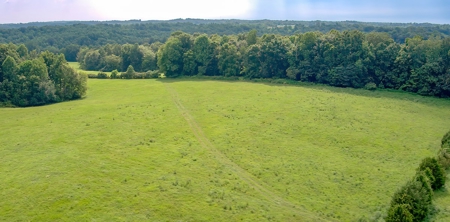 Hunting & Farm Land for sale in Adair County Kentucky - image 14
