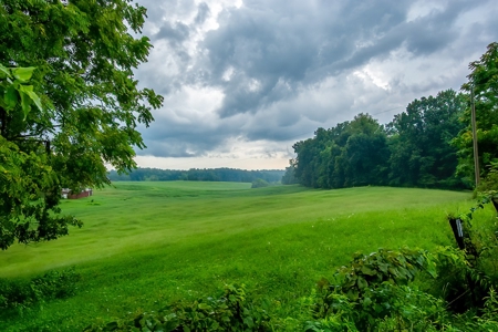 Hunting & Farm Land for sale in Adair County Kentucky - image 18