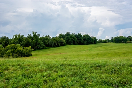 Hunting & Farm Land for sale in Adair County Kentucky - image 27