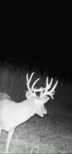 Hunting Property For Sale Kansas - image 21