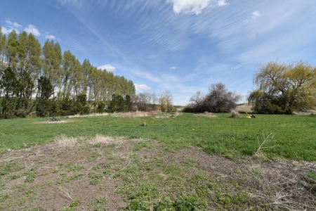 Country Home on 3.25 +/- Level Acres for Sale St. John, WA - image 33