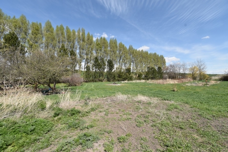 Country Home on 3.25 +/- Level Acres for Sale St. John, WA - image 35
