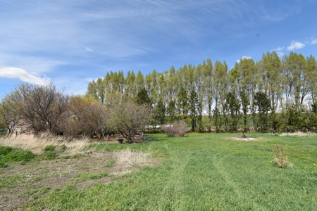Country Home on 3.25 +/- Level Acres for Sale St. John, WA - image 36