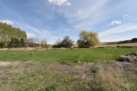 Country Home on 3.25 +/- Level Acres for Sale St. John, WA - image 32