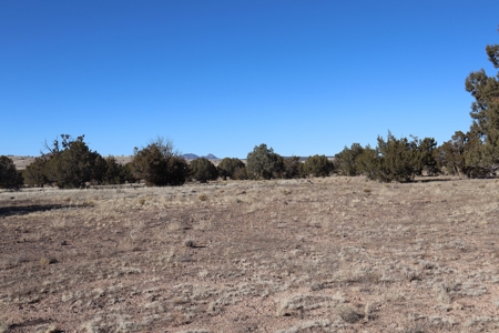 Big views and wide open spaces - image 3