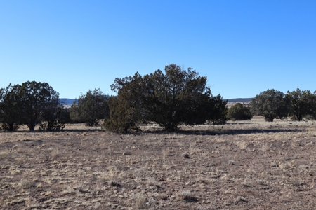 Big views and wide open spaces - image 2