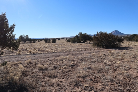 Big views and wide open spaces - image 5