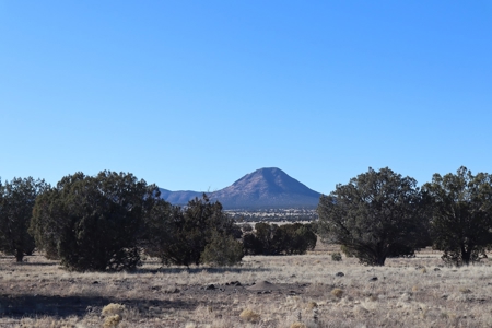 Big views and wide open spaces - image 1