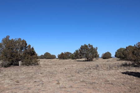 Big views and wide open spaces - image 10