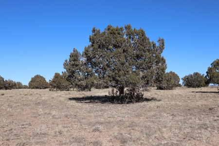 Big views and wide open spaces - image 11