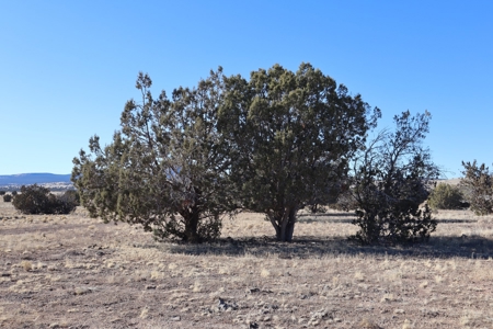 Big views and wide open spaces - image 4
