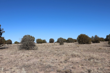 Big views and wide open spaces - image 9