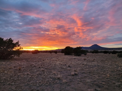 Big views and wide open spaces - image 12