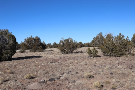 Big views and wide open spaces - image 8