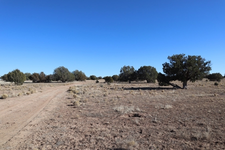 Big views and wide open spaces - image 7