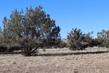 Big views and wide open spaces - image 6