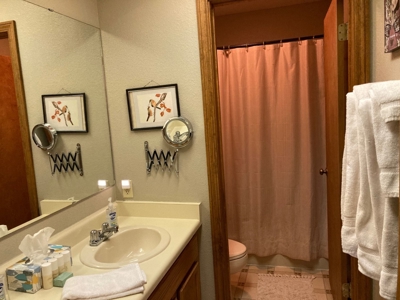 Townhome For Sale, Ouray, Colorado - image 22