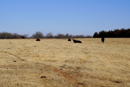 Central Oklahoma Farm & Ranch, Meeker, Ok - image 42