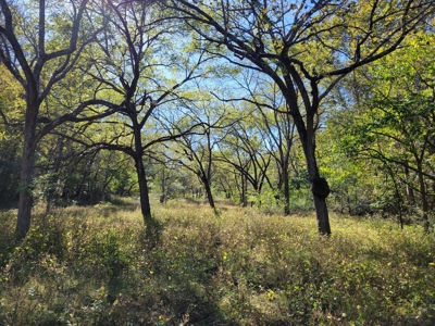Southern Missouri Farm For Sale - Miller County - image 9