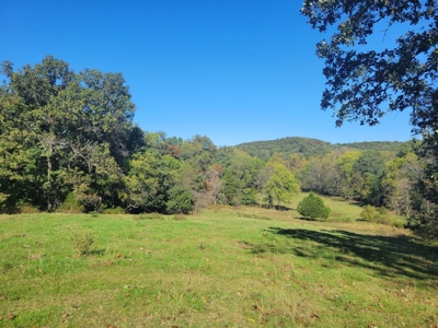 Southern Missouri Farm For Sale - Miller County - image 15