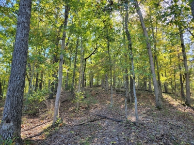 Southern Missouri Farm For Sale - Miller County - image 10