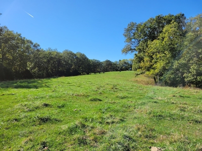 Southern Missouri Farm For Sale - Miller County - image 22