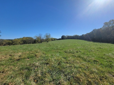 Southern Missouri Farm For Sale - Miller County - image 20