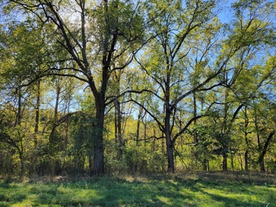 Southern Missouri Farm For Sale - Miller County - image 17