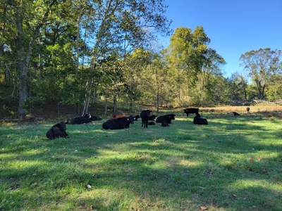 Southern Missouri Farm For Sale - Miller County - image 23