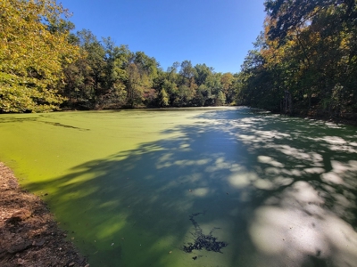 Southern Missouri Farm For Sale - Miller County - image 14