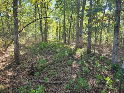 Southern Missouri Farm For Sale - Miller County - image 21