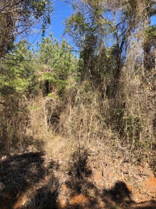 Anderson County Lands For Sale - image 4