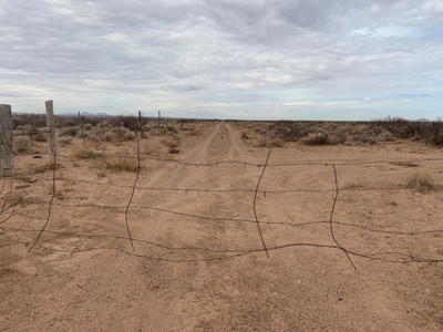Land for sale - image 5