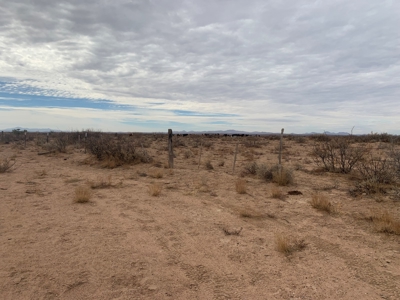 Land for sale - image 3