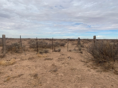 Land for sale - image 2