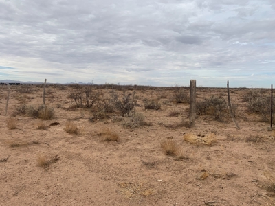 Land for sale - image 1