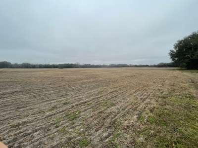 35 Acres Ready To Build, Farm, Etc For $280,000!!! - image 4