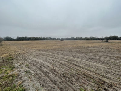 35 Acres Ready To Build, Farm, Etc For $280,000!!! - image 5