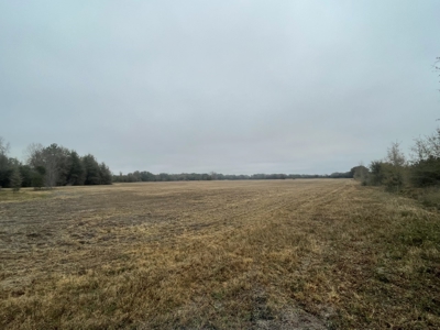 35 Acres Ready To Build, Farm, Etc For $280,000!!! - image 1