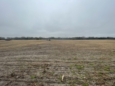 35 Acres Ready To Build, Farm, Etc For $280,000!!! - image 6