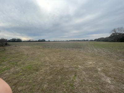 35 Acres Ready To Build, Farm, Etc For $280,000!!! - image 9