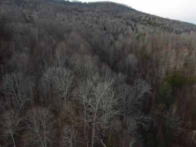 Claiborne County TN-Lake Access Lot for Sale New Tazewell - image 14