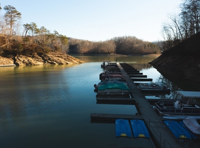 Claiborne County TN-Lake Access Lot for Sale New Tazewell - image 30