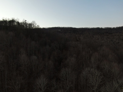Claiborne County TN-Lake Access Lot for Sale New Tazewell - image 4