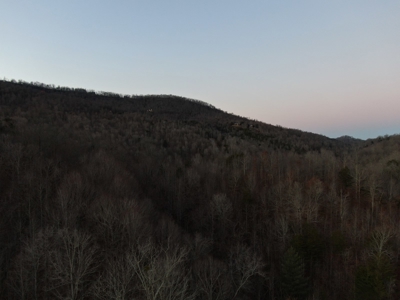 Claiborne County TN-Lake Access Lot for Sale New Tazewell - image 3