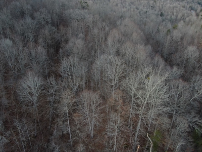 Claiborne County TN-Lake Access Lot for Sale New Tazewell - image 15
