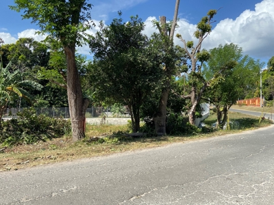 Land For Sale  Corona Beach San Carlos - image 5